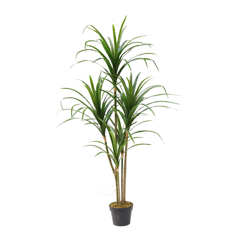Γλάστρες - Ζαρντινιέρες agiovlasitishome - ΣΗΜΑΝΤΙΚΟ: Σε περίπτωση διαφοράς τιμής από το κατάστημα ισχύει παντα και μόνο η τιμή του καταστήματος Supergreens Τεχνητό Δέντρο Δράκαινα ''Anita'' 150cm 928
