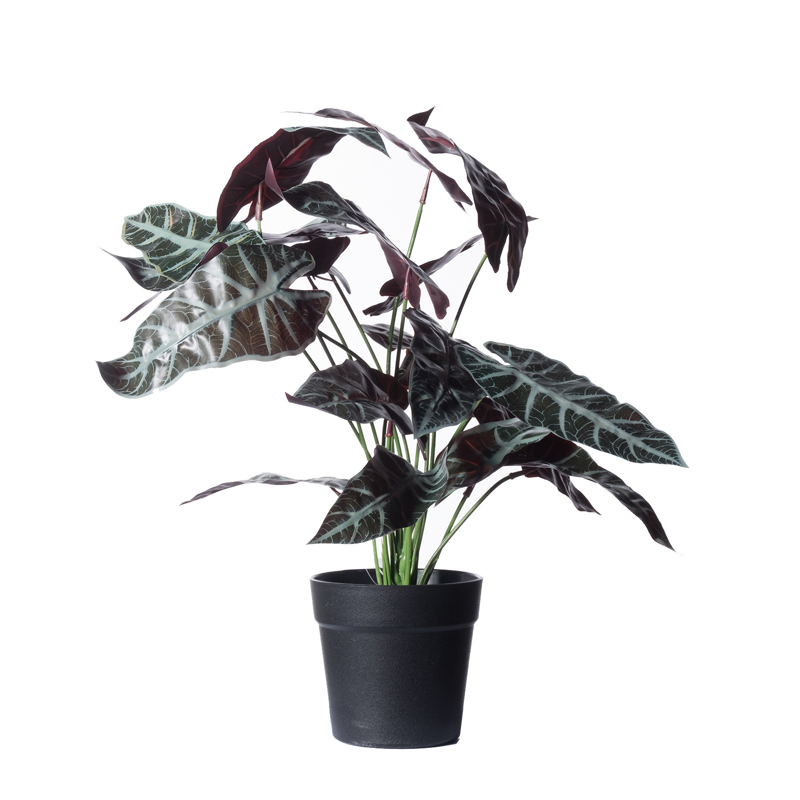 Supergreens Τεχνητό Φυτό Αλοκάσια Amazonica Polly 40cm 