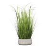 Supergreens Texnito Futo Xlorofuto ''Spider'' Prasino 84cm 9490-6