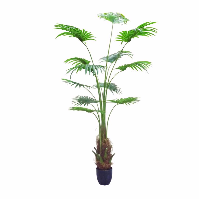 Γλάστρες - Ζαρντινιέρες agiovlasitishome - ΣΗΜΑΝΤΙΚΟ: Σε περίπτωση διαφοράς τιμής από το κατάστημα ισχύει παντα και μόνο η τιμή του καταστήματος Supergreens Τεχνητό Δέντρο Πιτσάρδια ''Washingtonia'' Π