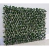 Supergreens Texniti Fullosia Ptussomeni Seflera 100x200 ek. 9681-7