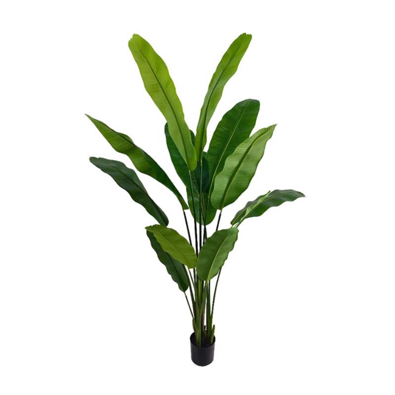 Γλάστρες - Ζαρντινιέρες agiovlasitishome - ΣΗΜΑΝΤΙΚΟ: Σε περίπτωση διαφοράς τιμής από το κατάστημα ισχύει παντα και μόνο η τιμή του καταστήματος Supergreens Τεχνητο Δέντρο Πουλί του Παραδείσου ''Strel