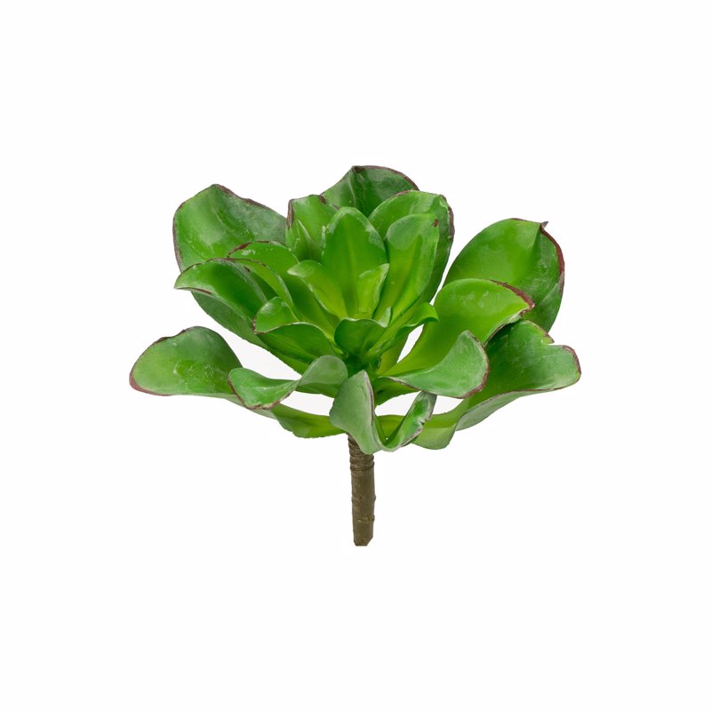 Supergreens Τεχνητό Χωνευτό Παχύφυτο ''Veggie'' 16cm 9690-7