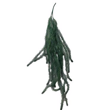 Supergreens Τεχνητό Κρεμαστό Σπαράγγι ''Aethiopicus'' Πράσινο 108cm 9771-7