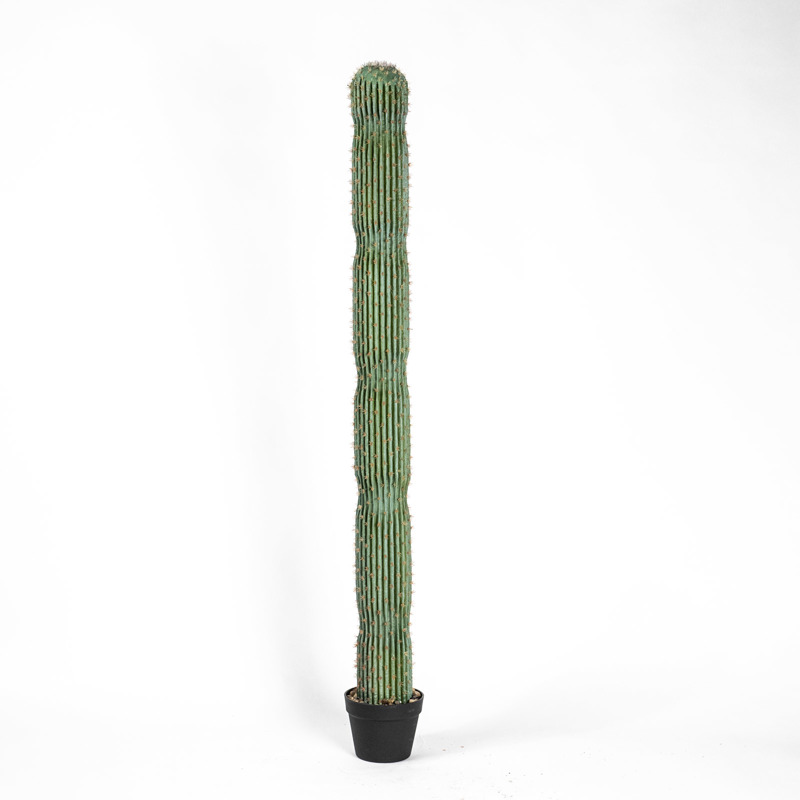 Supergreens Τεχνητό Δέντρο Ευφόρμπια Mili 163cm 9780-6