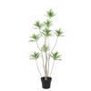 Supergreens Texnito Dentro Drakaina Prasino 140 ek. 9801-6