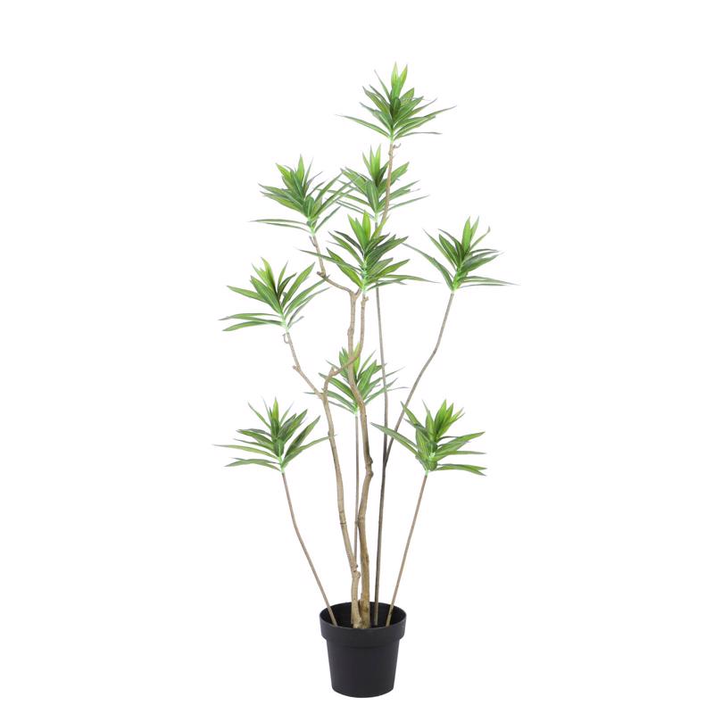 Γλάστρες - Ζαρντινιέρες agiovlasitishome - ΣΗΜΑΝΤΙΚΟ: Σε περίπτωση διαφοράς τιμής από το κατάστημα ισχύει παντα και μόνο η τιμή του καταστήματος Supergreens Τεχνητό Δέντρο Δράκαινα Πράσινο 140 εκ. 980