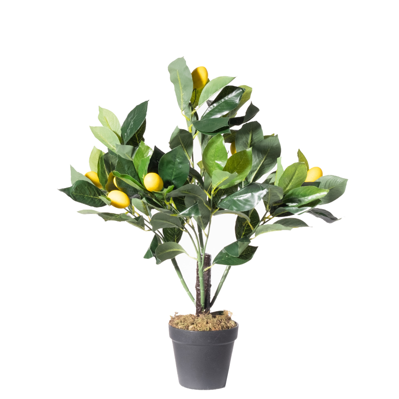 Γλάστρες - Ζαρντινιέρες agiovlasitishome - ΣΗΜΑΝΤΙΚΟ: Σε περίπτωση διαφοράς τιμής από το κατάστημα ισχύει παντα και μόνο η τιμή του καταστήματος Supergreens Τεχνητό Δέντρο Λεμονιά 50cm σε Γλάστρα 9870