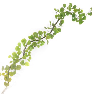 Supergreens Τεχνητή Γιρλάντα Γεράνι Skybreeze Πράσινη 240cm 9881-7