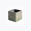 Supergreens Gastra Pilini Tetragni Brua 23x23x22 ek. A-2840-8