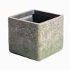 Supergreens Gastra Pilini Tetragni Brua 44x44x38cm D-2840-8