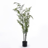 Supergreens Texnito Dentro Fteri ''Pteridium'' Prasino 100x100x140cm 4501-6