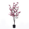 Supergreens Texnito Dentro Azalea ''Rhododendron'' Roz 50x50x130cm 5501-6