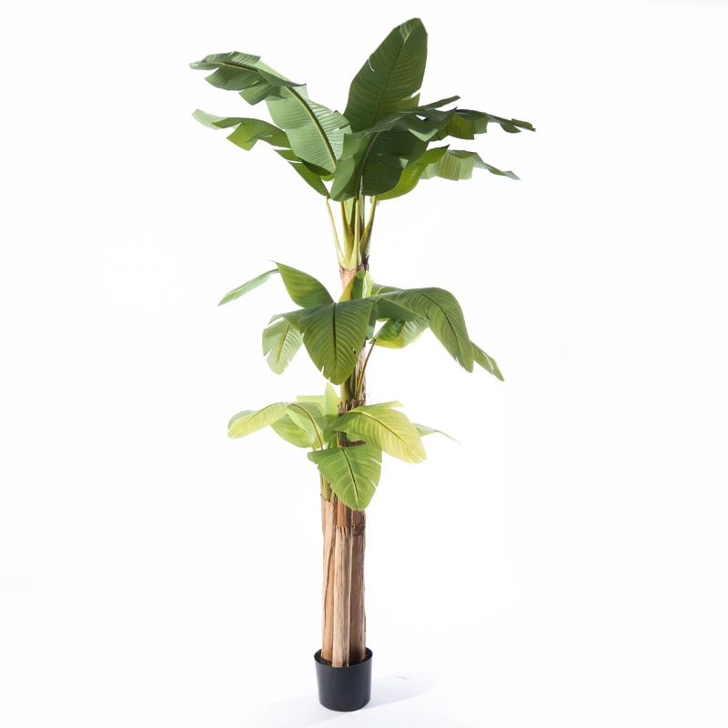 Γλάστρες - Ζαρντινιέρες agiovlasitishome - ΣΗΜΑΝΤΙΚΟ: Σε περίπτωση διαφοράς τιμής από το κατάστημα ισχύει παντα και μόνο η τιμή του καταστήματος Supergreens Τεχνητό Δέντρο Μπανανιά ''Musa'' Πράσινο 17