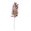 Supergreens Texnito Kladi Pampas ''Pilosa'' Kafe 120cm 8081-7