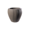 Supergreens Gastra Tsimentenia Stronguli ''SolidFlora'' Fusiki F30x28cm A-6370-8