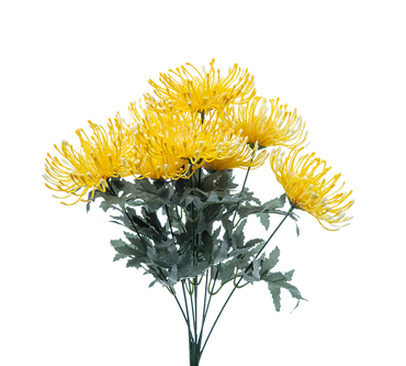 Zaros Μπουκέτο με 9 Άνθη Πρωτέας Κίτρινο 70cm AX587