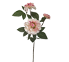 Zaros Xrusanthemo me 3 Anthi Krem/Roz 65cm AX835