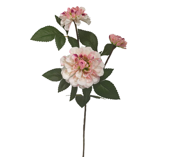 Zaros Xrusanthemo me 3 Anthi Krem/Roz 65cm AX835