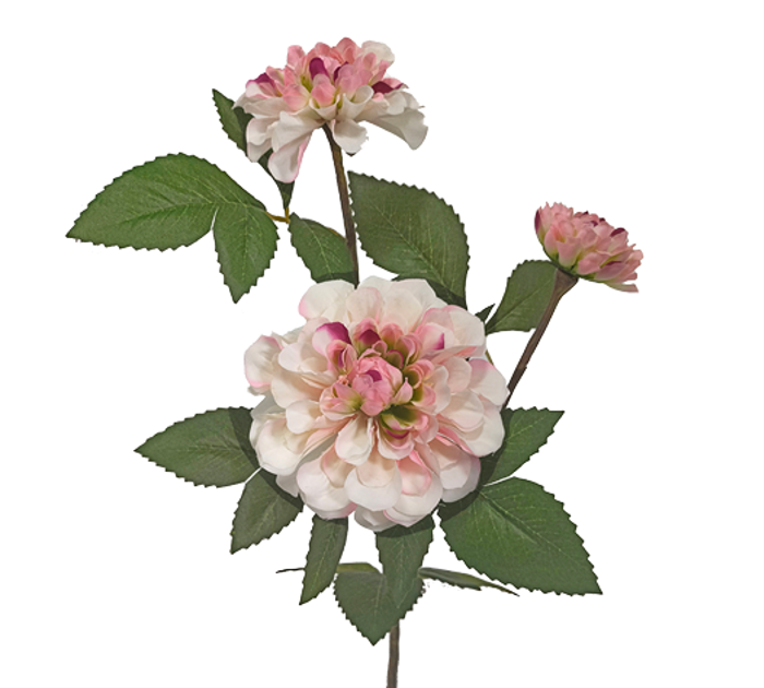 Zaros Xrusanthemo me 3 Anthi Krem/Roz 65cm AX835