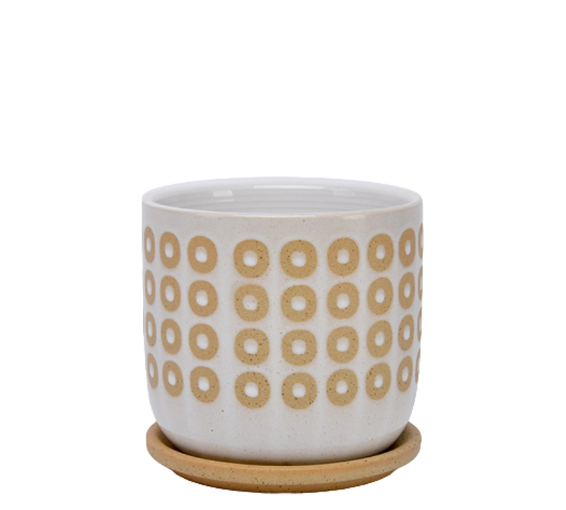 Γλάστρες - Ζαρντινιέρες agiovlasitishome - ΣΗΜΑΝΤΙΚΟ: Σε περίπτωση διαφοράς τιμής από το κατάστημα ισχύει παντα και μόνο η τιμή του καταστήματος Zaros Κεραμικό Κασπώ Λευκό/Μπεζ με Πιάτο Φ15x14.5cm CT4