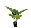 Zaros Futo Monstera se Kaspo 60cm FL154