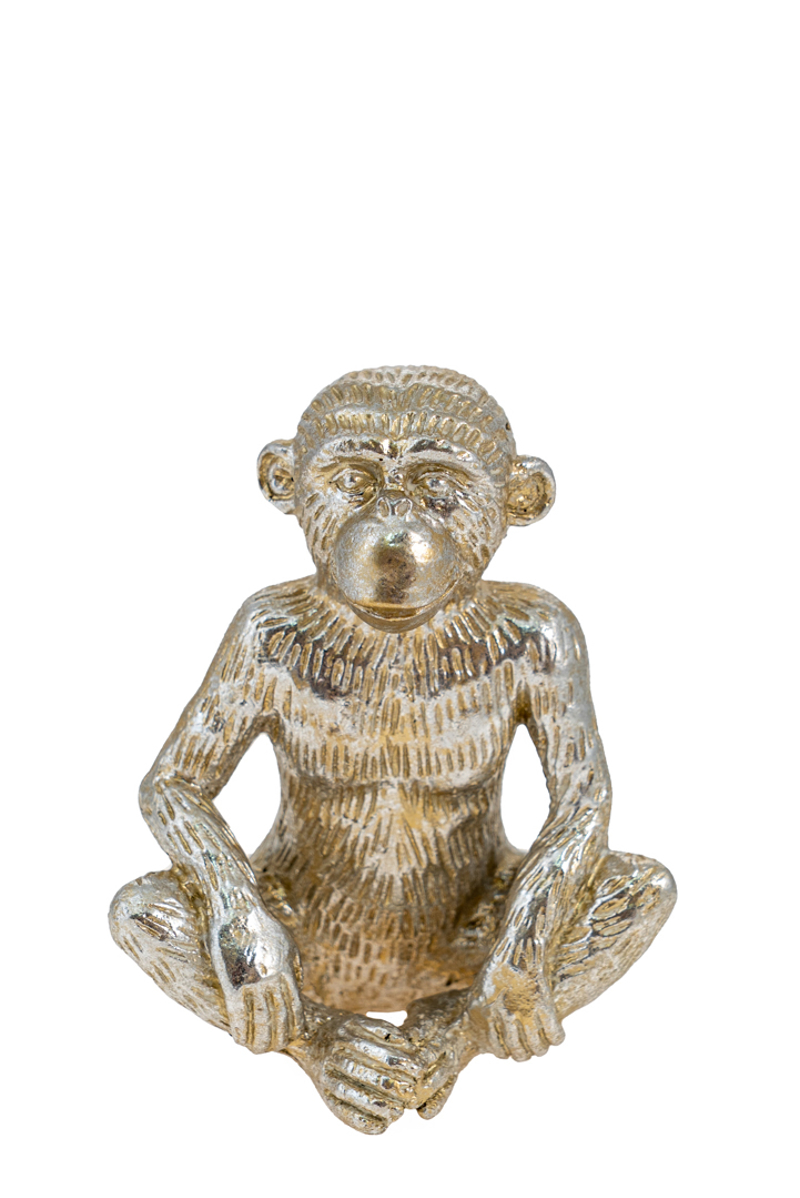 Διακοσμητικά Επιτραπέζια agiovlasitishome - ΣΗΜΑΝΤΙΚΟ: Σε περίπτωση διαφοράς τιμής από το κατάστημα ισχύει παντα και μόνο η τιμή του καταστήματος Zen Collection Διακοσμητικός Πίθηκος Resin Ασημί 47507