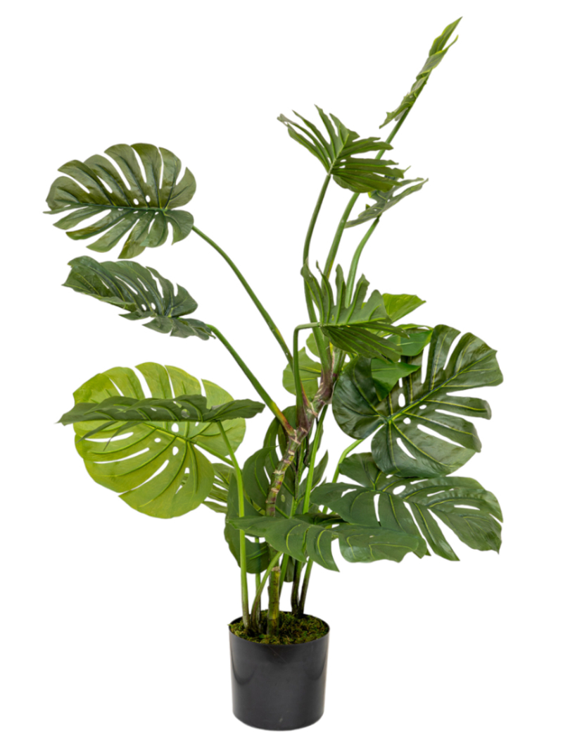 Zen Collection Φυτό Φιλόδενδρο σε Γλάστρα 128cm 49968