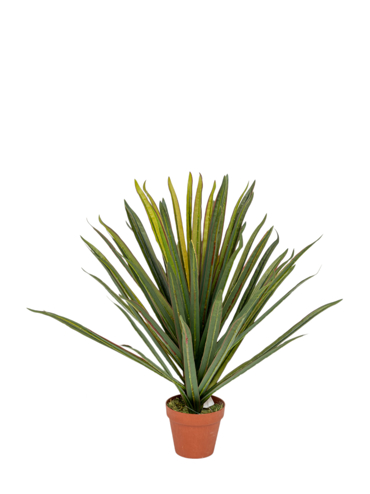 Zen Collection Φυτό Γιούκα σε Γλάστρα 58cm 49976